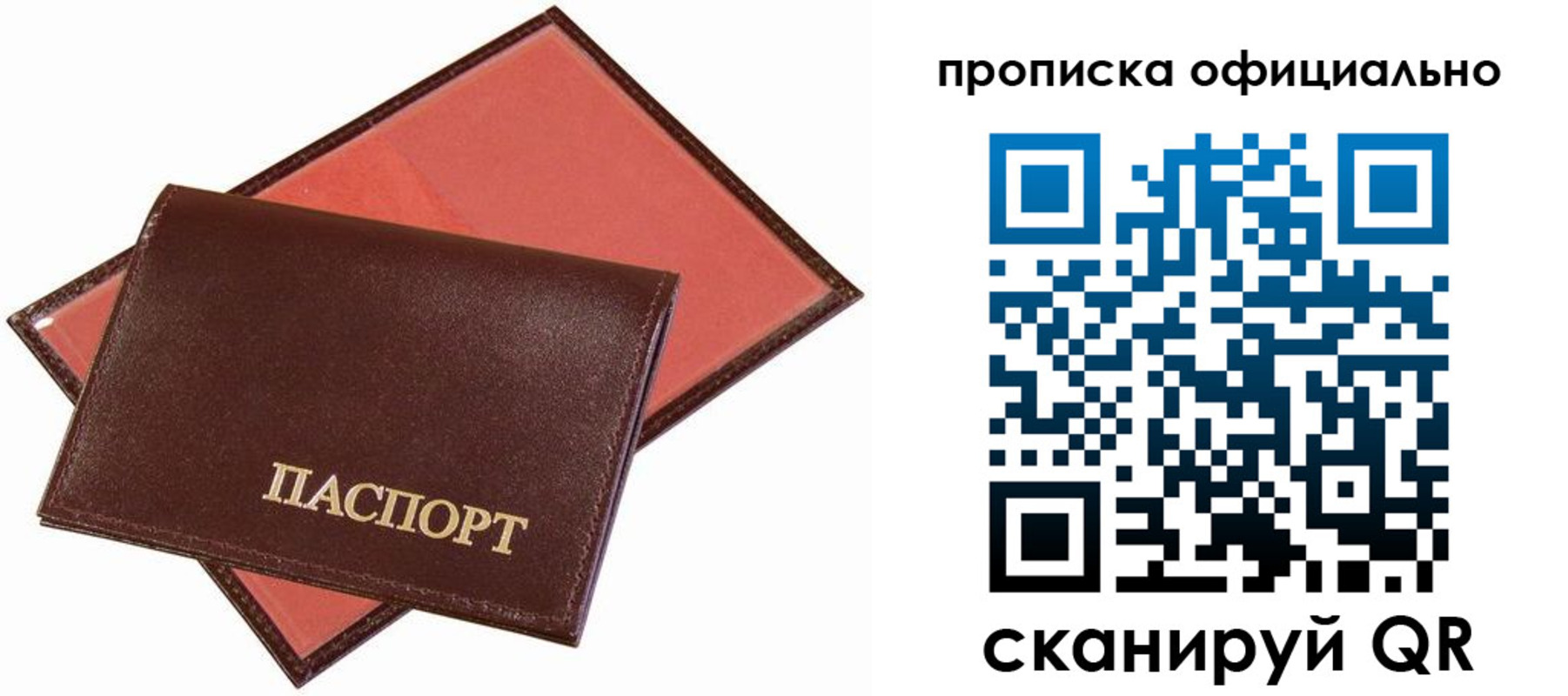 временная регистрация гарантия в Мурино
